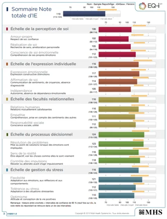 Rapport d'évaluation | Bilan EQ-I