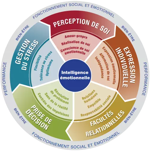 Roue de l'intelligence émotionnelle