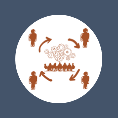 Rapport standard 360°